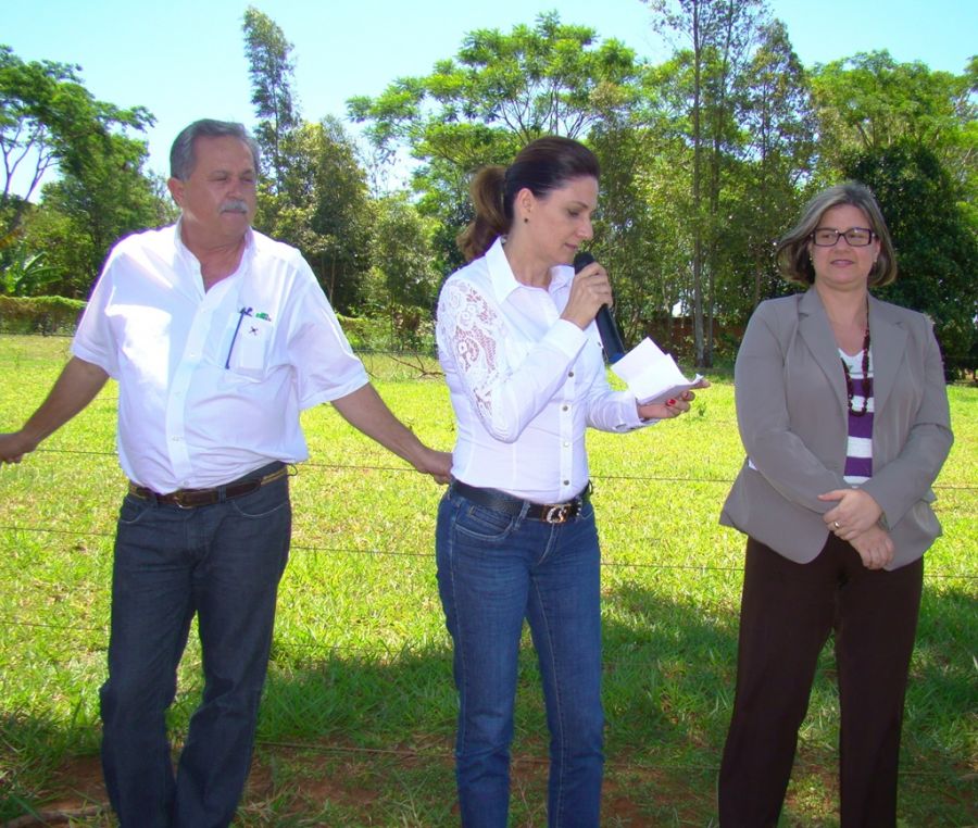 Clique Para Ampliar essa Imagem