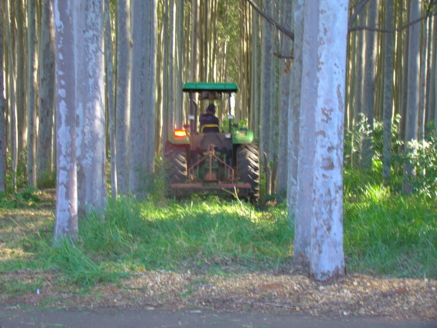 Clique Para Ampliar essa Imagem