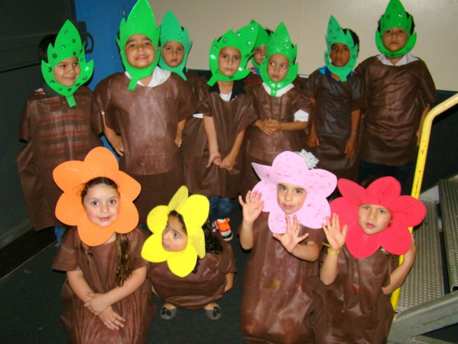 Clique Para Ampliar essa Imagem