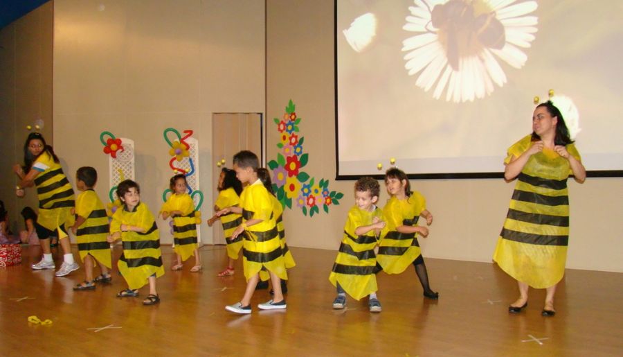 Clique Para Ampliar essa Imagem