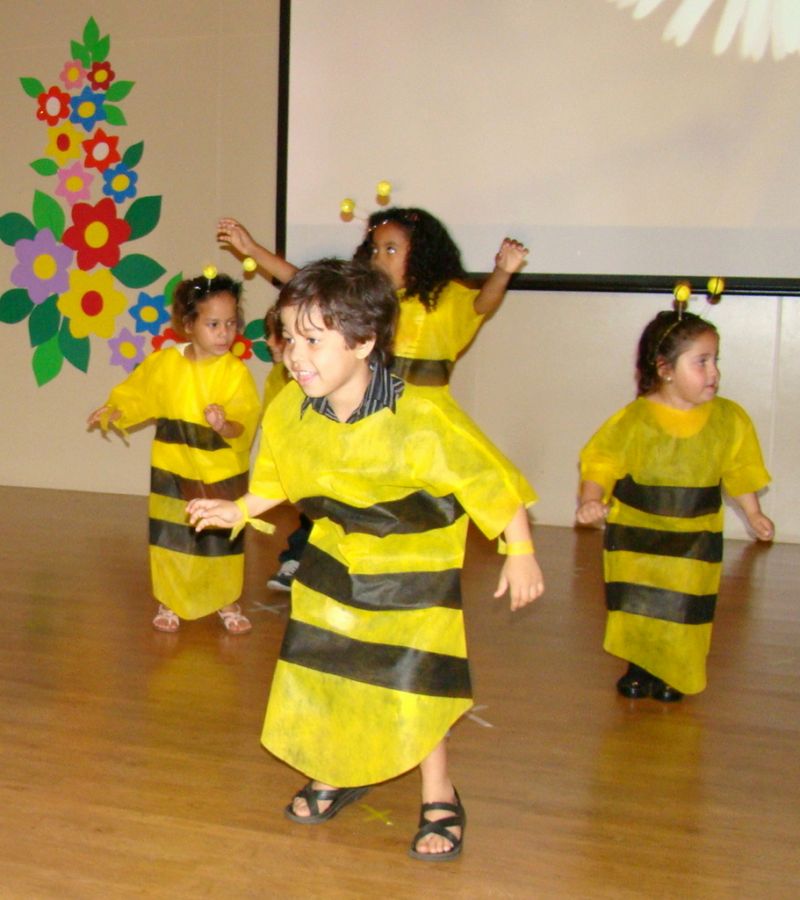 Clique Para Ampliar essa Imagem