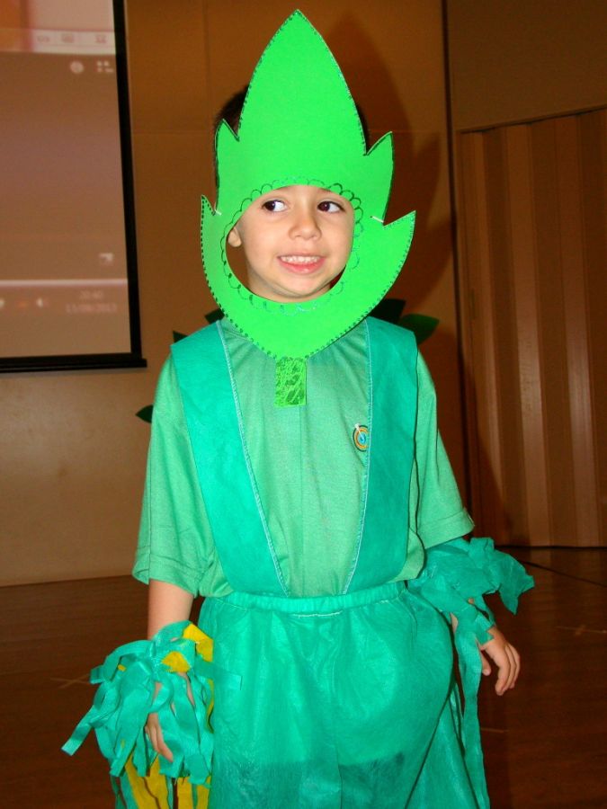 Clique Para Ampliar essa Imagem