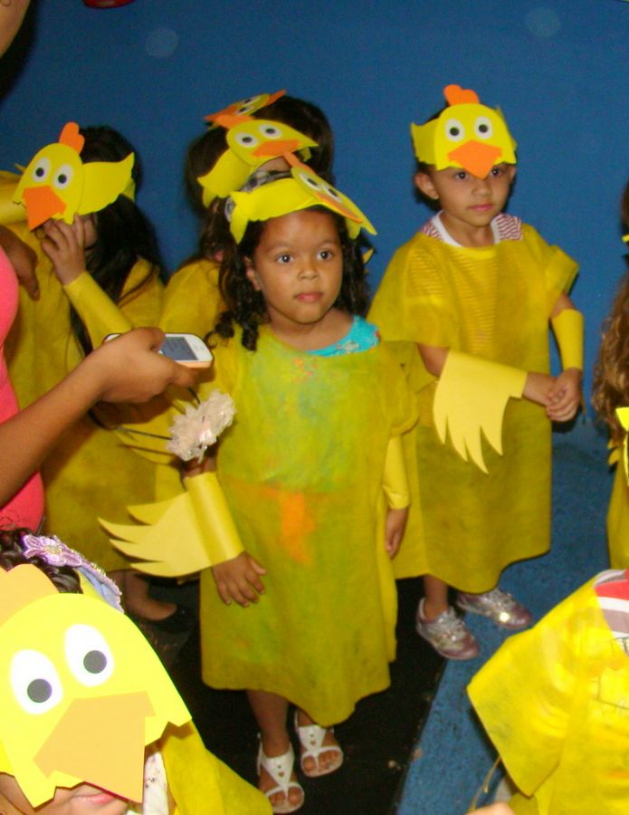 Clique Para Ampliar essa Imagem