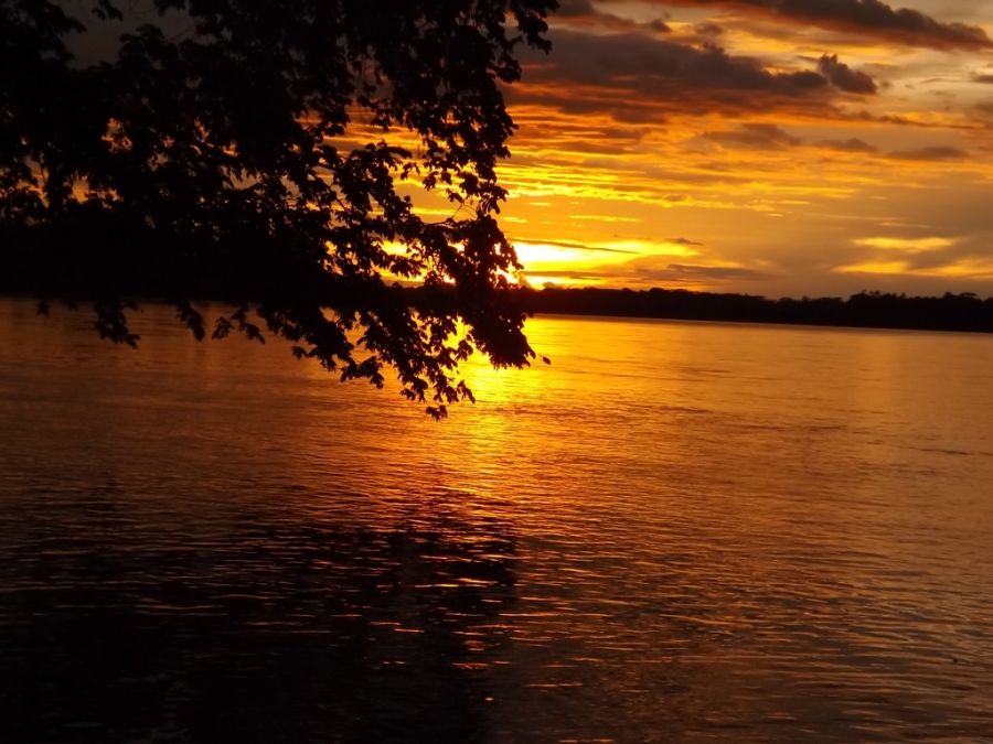 Clique Para Ampliar essa Imagem