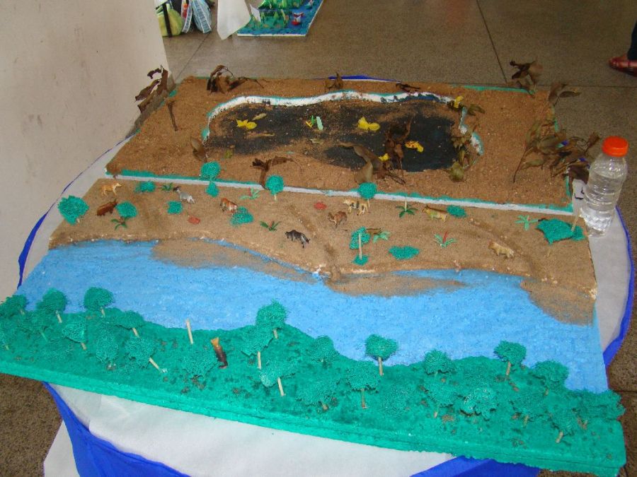 Clique Para Ampliar essa Imagem