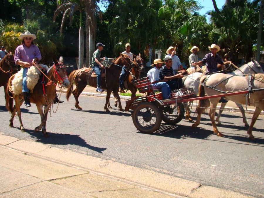 Clique Para Ampliar essa Imagem