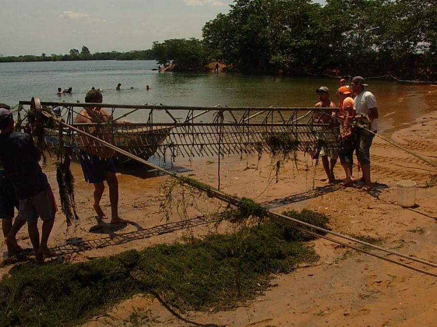 Clique Para Ampliar essa Imagem